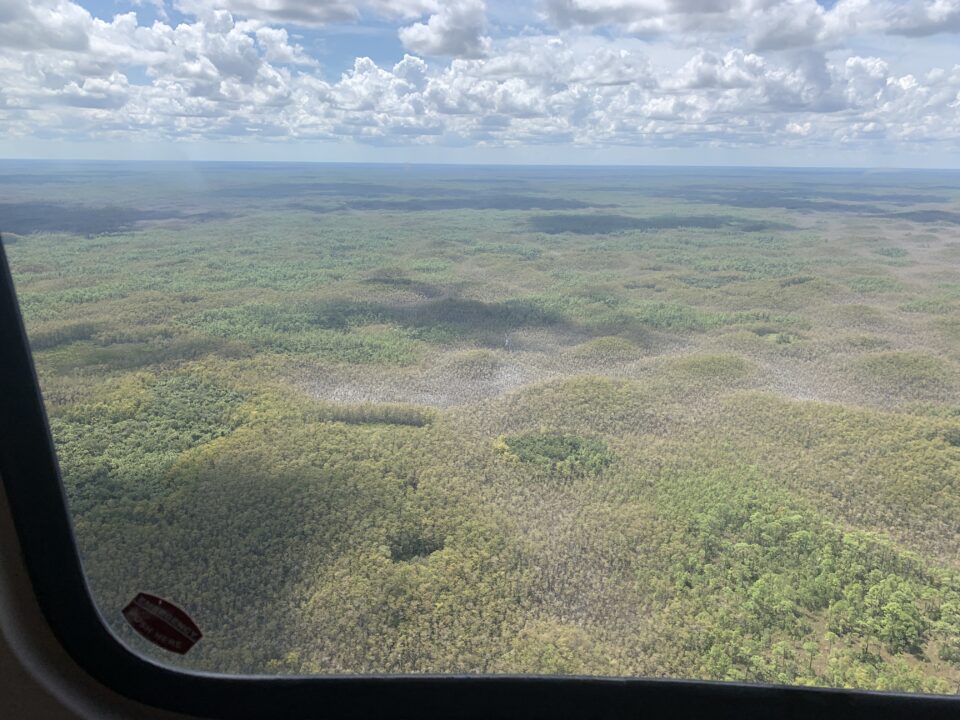 Aerial view of the swamps from Big Cypress.